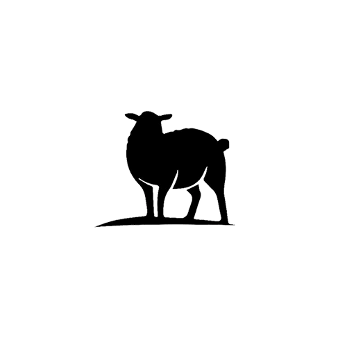 THE COZY SHEEP